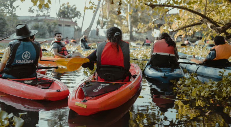 Group kayaking in Alleppey backwaters